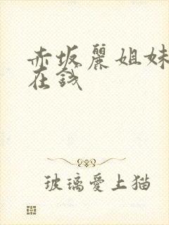 赤坂丽姐妹牙医在钱封面