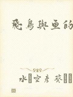 飞鸟与鱼的故事封面