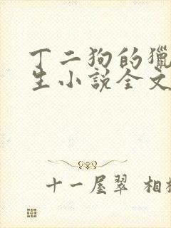 丁二狗的猎艳人生小说全文免费阅读第一部