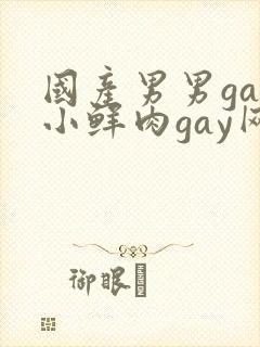 国产男男gay小鲜肉gay网站亚洲封面