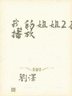 我的姐姐2在线播放