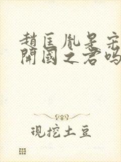 赵匡胤是宋朝的开国之君吗