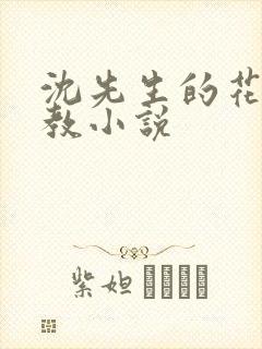 沈先生的花式调教小说