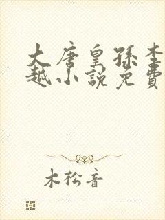 大唐皇孙李象穿越小说免费阅读全文