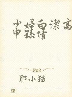 少妇白洁高义王申孙倩