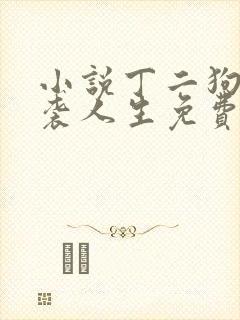 小说丁二狗的逆袭人生免费阅读