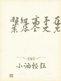 超级高手在都市叶辰全文免费阅读封面