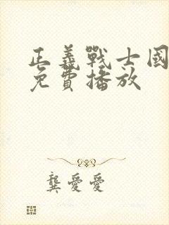 正义战士国语版免费播放