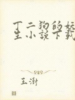 丁二狗的妖孽人生小说下载