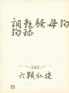 调教骚母狗给公狗舔