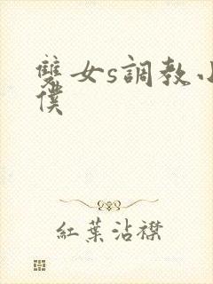 双女s调教小女仆