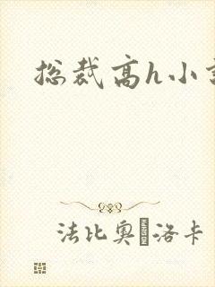 总裁高h小说封面