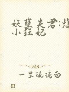 妖孽夫君:爆宠小狂妃