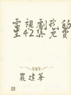 电视剧我的后半生42集免费播放封面