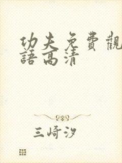 功夫免费观看国语高清