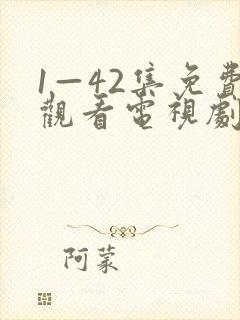 1—42集免费观看电视剧无间封面