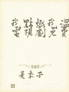 我点燃我温暖你电视剧免费观看