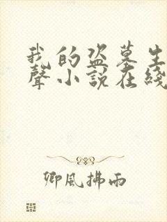 我的盗墓生涯有声小说在线收听封面