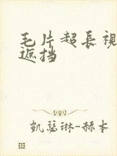 毛片超长视频无遮挡