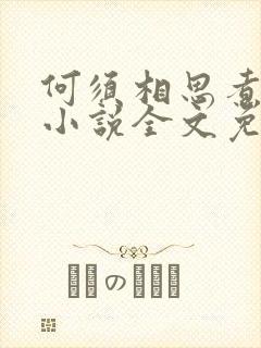 何须相思煮余年小说全文免费阅读