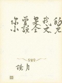 你曾是我的唯一小说全文免费阅读