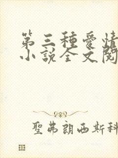 第三种爱情原著小说全文阅读封面