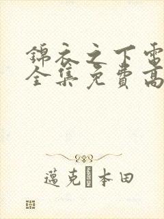 锦衣之下电视剧全集免费高清封面