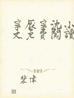 宁厌宁沈小说全文免费阅读封面