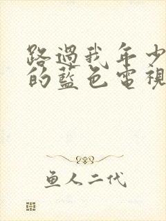 路过我年少时光的蓝色电视剧免费播放封面