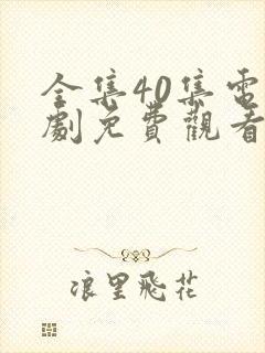 全集40集电视剧免费观看