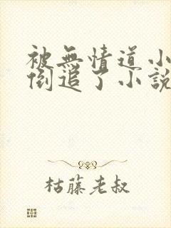 被无情道小师弟倒追了小说免费阅读全文番外