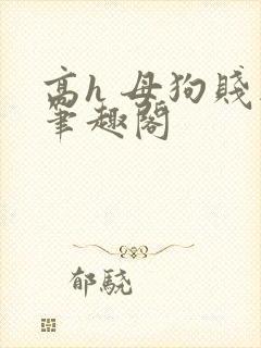 高h 母狗贱妾笔趣阁