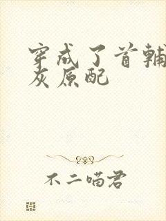 穿成了首辅的炮灰原配