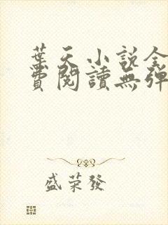 叶天小说全文免费阅读无弹窗封面