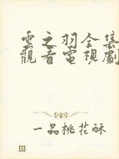 云之羽全集免费观看电视剧集封面