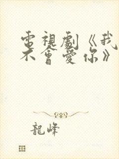 电视剧《我可能不会爱你》