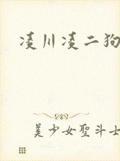 凌川凌二狗小说