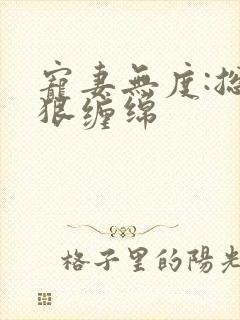 宠妻无度:总裁狠缠绵