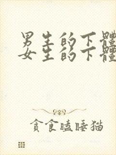 男生的下体插入女生的下体封面