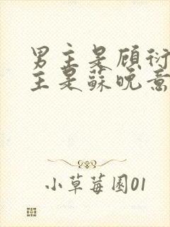 男主是顾衍,女主是苏晚意的小说封面