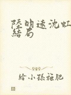 陆明远沈虹芸大结局封面