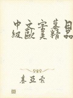 中文字幕日韩一级欧美精品