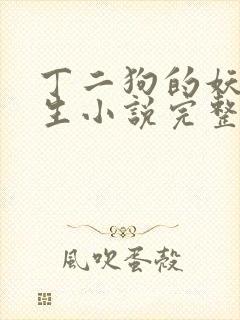 丁二狗的妖孽人生小说完整版