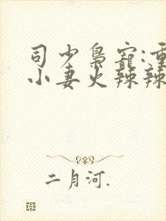 司少枭宠:重生小妻火辣辣