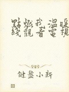 点燃我温暖你在线观看电视剧西瓜