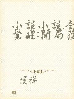 小说小说,全民觉醒:开局获得sss级天赋