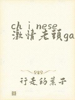 chⅰnese激情老头gaygaygay