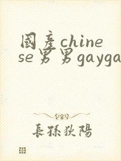 国产chinese男男gaygay 网站