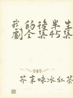 我的后半生电视剧全集45集