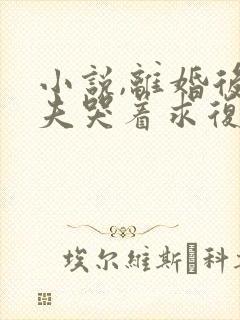 小说,离婚后前夫哭着求复婚